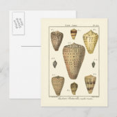  kapeltjes briefkaart (Voorkant / Achterkant)