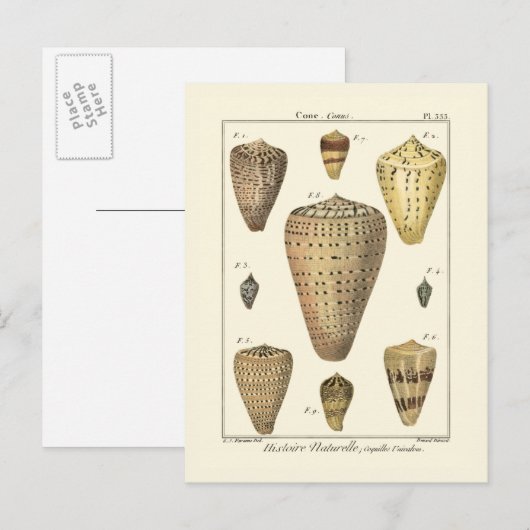  kapeltjes briefkaart (Voorkant / Achterkant)