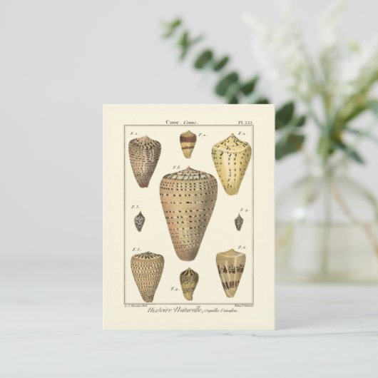  kapeltjes briefkaart (Staand voorkant)