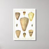  kapeltjes canvas afdruk (Voorkant)