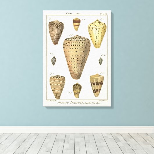  kapeltjes canvas afdruk (Insitu (Houten vloer))