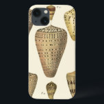 kapeltjes Case-Mate iPhone case<br><div class="desc">Artiest Denis Diderot is getalenteerd en bekend om zijn grote afbeeldingen in het leven van zeeen. In dit levendige afbeelding vangt hij deze gekraakte kegel in zijn meest natuurlijke stijl. Conches worden vaak gekraakt zoals deze vier seizoenshellen en in een sepia-achtige toon. Haal vandaag je zeeschol-product en je kunt jezelf...</div>