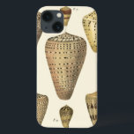 kapeltjes Case-Mate iPhone case<br><div class="desc">Artiest Denis Diderot is getalenteerd en bekend om zijn grote afbeeldingen in het leven van zeeen. In dit levendige afbeelding vangt hij deze gekraakte kegel in zijn meest natuurlijke stijl. Conches worden vaak gekraakt zoals deze vier seizoenshellen en in een sepia-achtige toon. Haal vandaag je zeeschol-product en je kunt jezelf...</div>