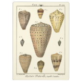 kapeltjes klembord (Achterkant)