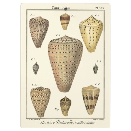 kapeltjes klembord (Achterkant)