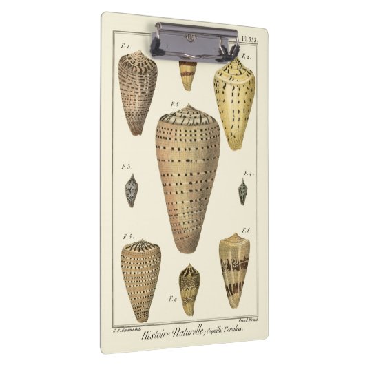 kapeltjes klembord (Rechts)