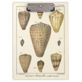 kapeltjes klembord (Voorkant)