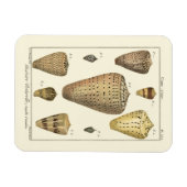  kapeltjes magneet (Horizontaal)