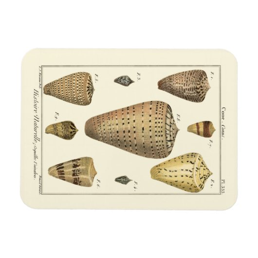  kapeltjes magneet (Horizontaal)