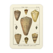  kapeltjes magneet (Verticaal)