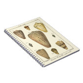 kapeltjes notitieboek (Rechterzijde)