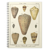  kapeltjes notitieboek (Voorkant)