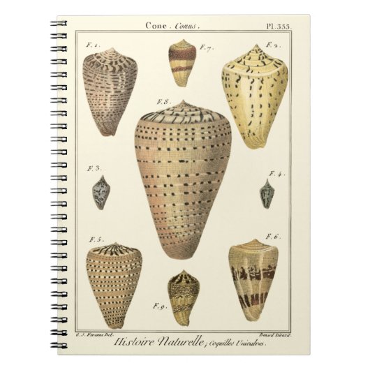 kapeltjes notitieboek (Voorkant)