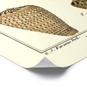  kapeltjes poster (Hoek)