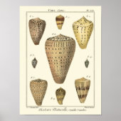  kapeltjes poster (Voorkant)