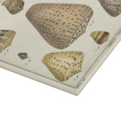  kapeltjes snijplank (Hoek)