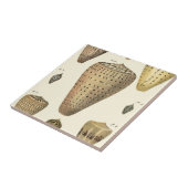  kapeltjes tegeltje (Zijkant)