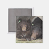 Kapiolani en Schaduw - vierkante magneet (Voorkant / Achterkant)