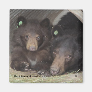 Kapiolani en Schaduw - vierkante magneet