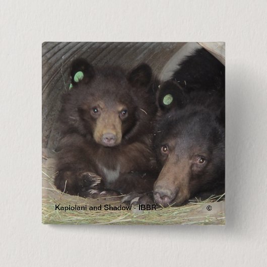 Kapiolani en Shadow - vierkante knop Vierkante Button 5,1 Cm (Voorkant)