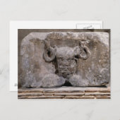 Kapitaal van de Nautes Pillar die kernnos afschild Briefkaart (Voorkant / Achterkant)