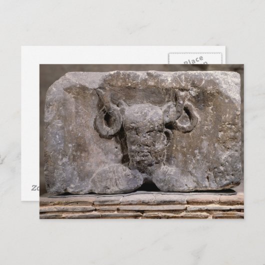 Kapitaal van de Nautes Pillar die kernnos afschild Briefkaart (Voorkant / Achterkant)