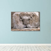 Kapitaal van de Nautes Pillar die kernnos afschild Canvas Afdruk (Insitu (Houten vloer))