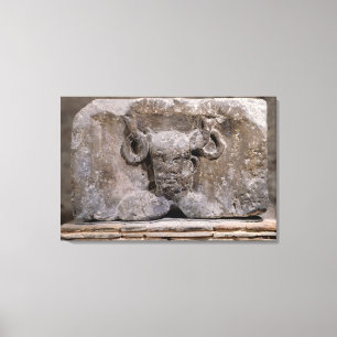 Kapitaal van de Nautes Pillar die kernnos afschild Canvas Afdruk