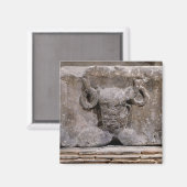 Kapitaal van de Nautes Pillar die kernnos afschild Magneet (Voorkant / Achterkant)