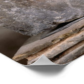 Kapitaal van de Nautes Pillar die kernnos afschild Poster (Hoek)