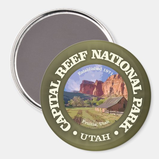 Kapitaalrif NP (rd)2 Magneet (Voorkant / Achterkant)