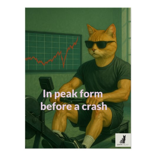 Kapitalist: Peak Performance Investor Perfect Poster (Voorkant)