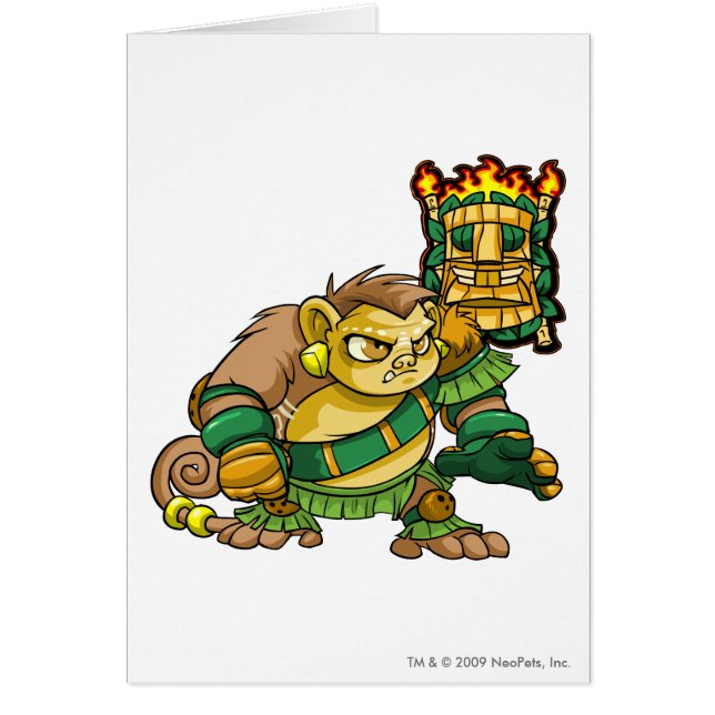 Kapitein 1 van het Mystery Island Team (Voorkant)