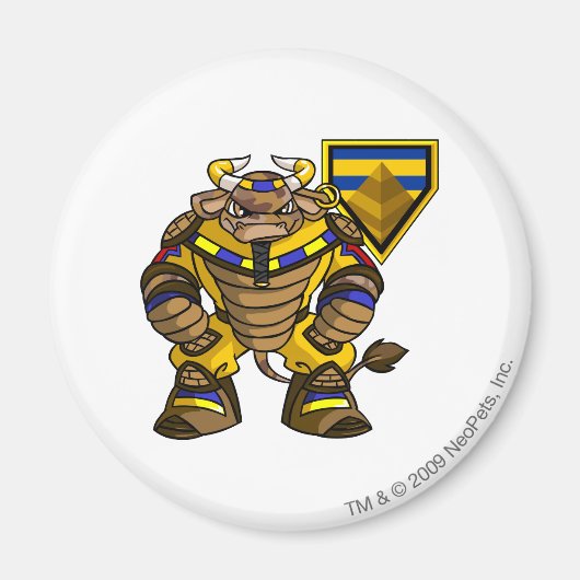 Kapitein 1 verloren woestijn magneet (Voorkant)