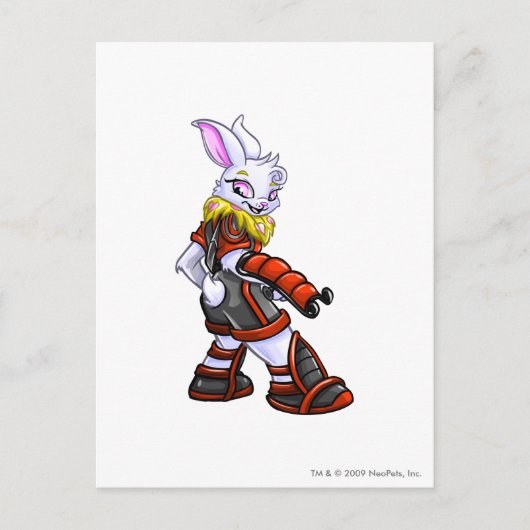 Kapitein 2 van het Ruimtestation van virtupets Briefkaart (Voorkant)