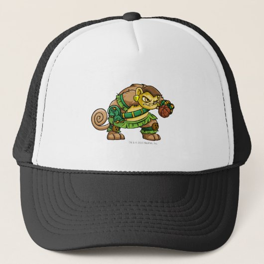Kapitein 2 van Mystery Island Trucker Pet (Voorkant)