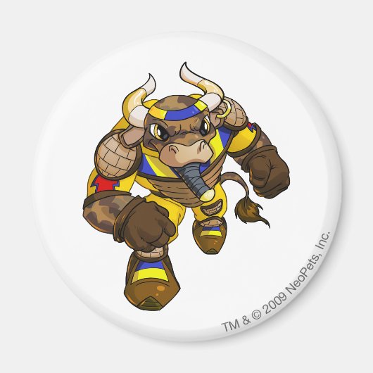 Kapitein 2 Verloren woestijn Magneet (Voorkant)