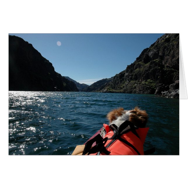 Kapitein Brit (Voorkant Horizontaal)