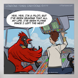 Kapitein Byrd Cardinaal Pilot Flies Jet Funny Post Poster