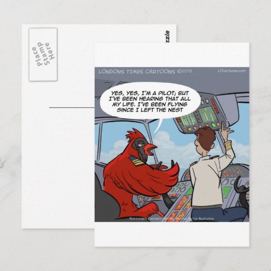 Kapitein Byrd vliegt een Jumbo Jet Funny Briefkaart (Voorkant / Achterkant)