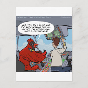 Kapitein Byrd vliegt een Jumbo Jet Funny Briefkaart