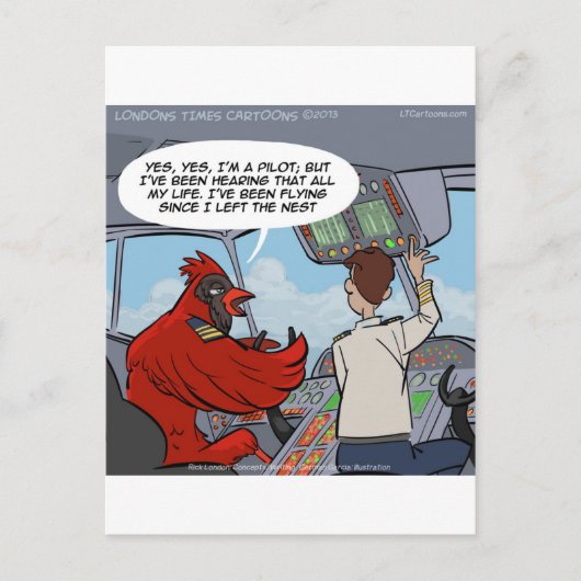 Kapitein Byrd vliegt een Jumbo Jet Funny Briefkaart (Voorkant)