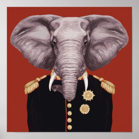 Kapitein Elephant Poster (Voorkant)