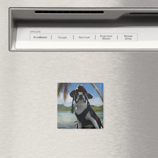 Kapitein Jack mus Magneet (Insitu (Vaatwasser))