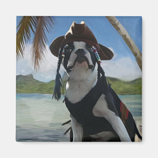 Kapitein Jack mus Magneet