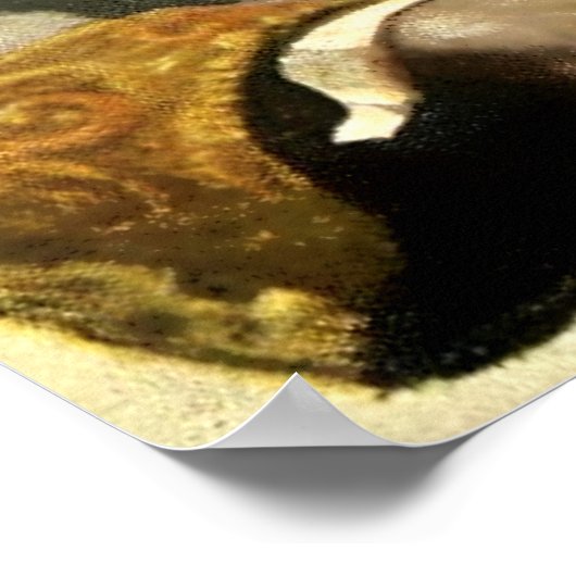 “Kapitein Nemo van de Nautilus” door NC Wyeth Poster (Hoek)