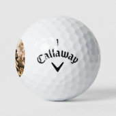 Kapitein, Pirate Blackbeard, Queen Anne's Revenge Golfballen (Logo)