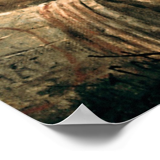 Kapitein, Pirate Blackbeard, Queen Anne's Revenge Poster (Hoek)