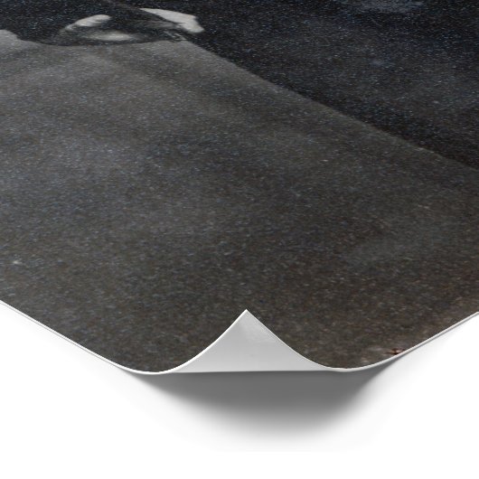 Kapitein Robert Falcon Scott Poster (Hoek)