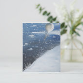 Kapitein Scott Antarctica's eerste Aeronaut. 4e Briefkaart (Staand voorkant)